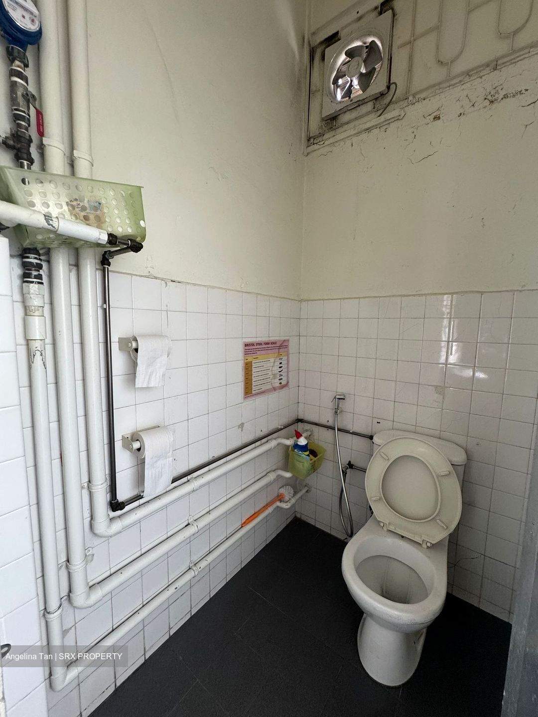 Hougang Avenue 1 (D19), Shop House #555686191